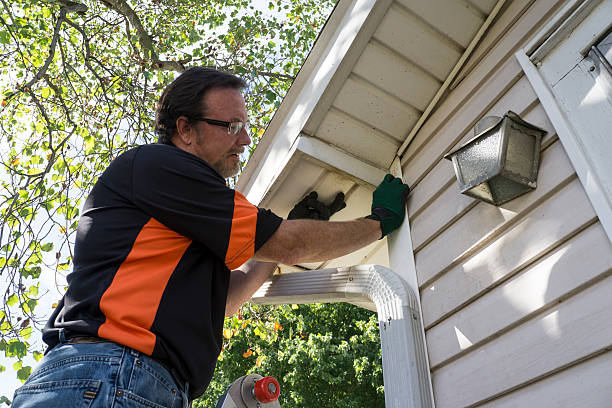 Professional Siding in Boise City, OK